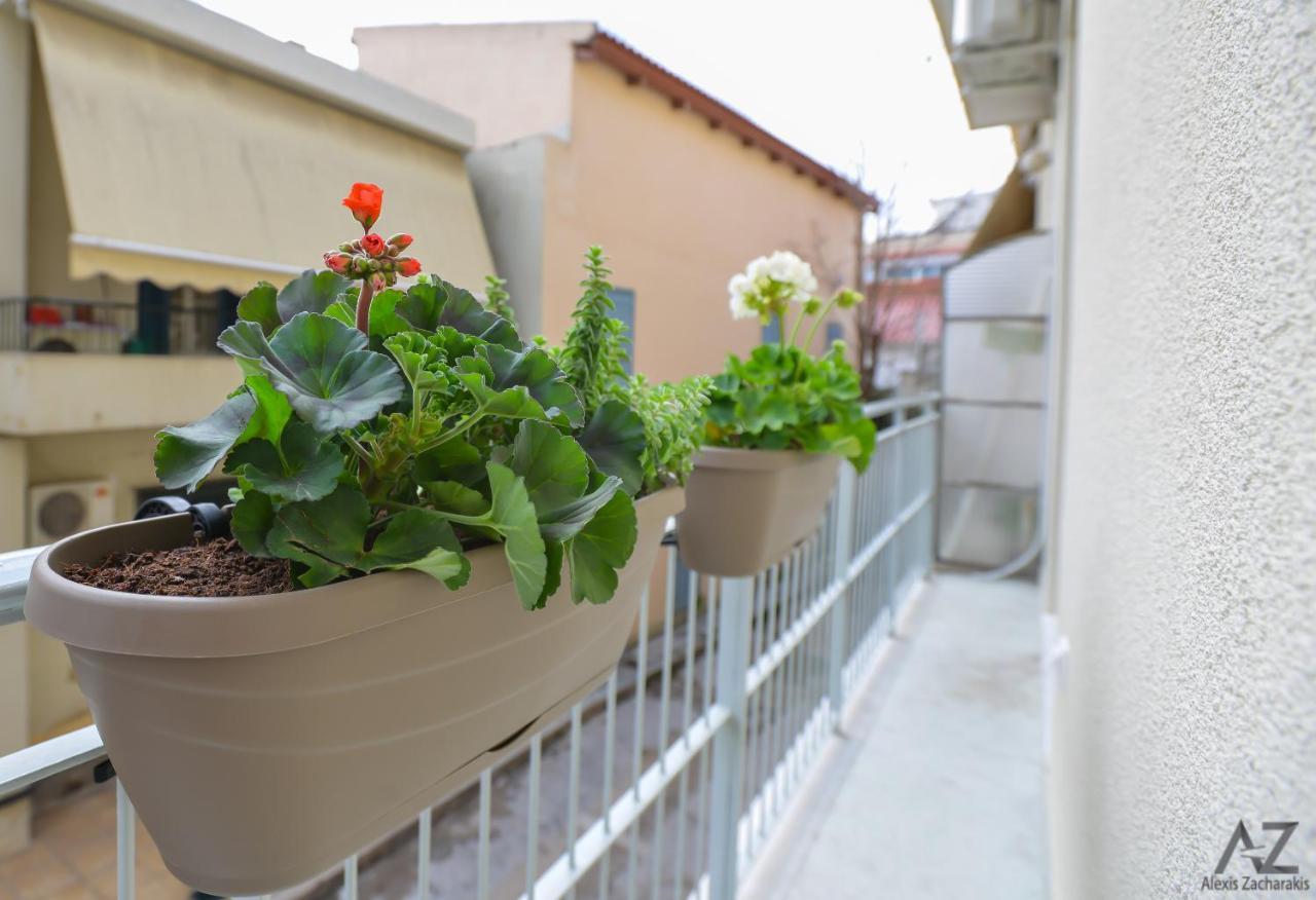 Phaedra Apartment 아테네 외부 사진